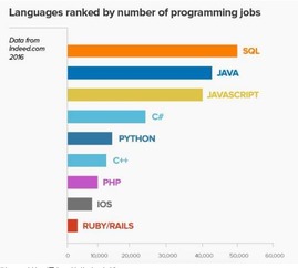 北京軟件開發培訓 哪種編程語言更具“錢”景？